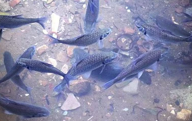 开云平台网站皇马赞助商| 开云平台官方ac米兰赞助商 最新官网入口