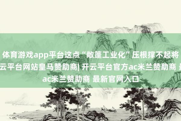 体育游戏app平台这点“敞篷工业化”压根撑不起将来出行梦-开云平台网站皇马赞助商| 开云平台官方ac米兰赞助商 最新官网入口
