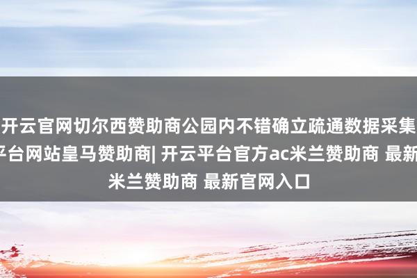 开云官网切尔西赞助商公园内不错确立疏通数据采集器-开云平台网站皇马赞助商| 开云平台官方ac米兰赞助商 最新官网入口