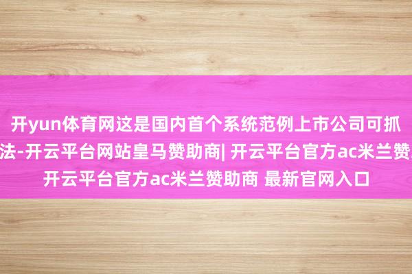 开yun体育网这是国内首个系统范例上市公司可抓续透露的强制性王法-开云平台网站皇马赞助商| 开云平台官方ac米兰赞助商 最新官网入口