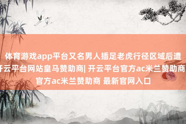体育游戏app平台又名男人插足老虎行径区域后遭到老虎迫切-开云平台网站皇马赞助商| 开云平台官方ac米兰赞助商 最新官网入口